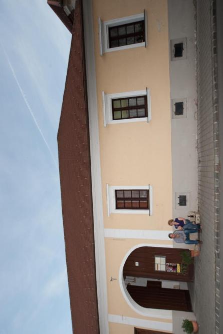 Apartament Wohnatelier Im Bioweingut Rust Zewnętrze zdjęcie